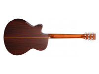 tanglewood-trs4ce_68668194bc98c.jpg