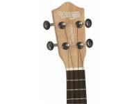 tanglewood-tu-1_5911e2679a894.jpg