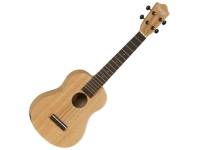 tanglewood-tu-4_59f2fcdb25724.jpg
