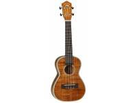 tanglewood-tu9_5911eb41b9a40.jpg