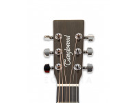 tanglewood-tw2-tse_606b1057e6d6b.jpg