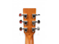 tanglewood-tw2-tse_606b1059dd705.jpg