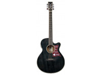 tanglewood-tw4-bs_60114d885c93e.jpg
