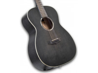 tanglewood-twbb-o_60113d905380b.jpg