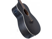 tanglewood-twbb-oe_600f0e179ec61.jpg