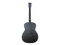 tanglewood-twbb-oe_60941ddcda150.jpg