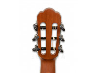 tanglewood-twc-e2_6011451a67907.jpg