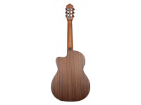 tanglewood-twc-e2_6011451b3419f.jpg