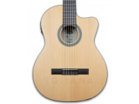 tanglewood-twc-e2_6011451c1542e.jpg
