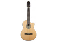 tanglewood-twc-e2_6011451e954a1.jpg