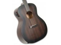 tanglewood-twcr-oe_6011495240b5c.jpg