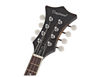 tanglewood-twmf-vse-union-series-vintage-sunburst_686f77d9b24a6.jpg