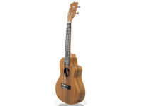tanglewood-twt-12e_605dd4d974a38.jpg