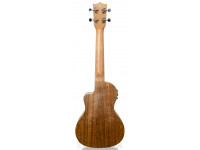 tanglewood-twt-12e_605dd4da7f303.jpg
