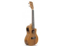 tanglewood-twt-12e_605dd4db6996f.jpg