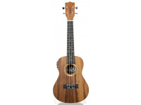 Ukulele Concerto/Ukulele Concerto Tanglewood TWT 8 E 