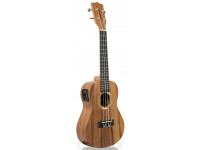 tanglewood-twt-8-e_6061a666b8520.jpg