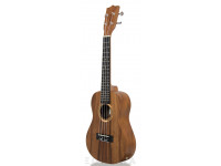 tanglewood-twt-8-e_6061a668731b8.jpg