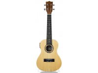 tanglewood-twt-9-e_605e27cdb41ea.jpg