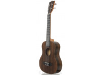 tanglewood-twt19_606196867b2c8.jpg