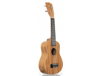 tanglewood-twt1_6061b704903c0.jpg