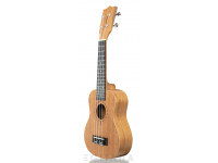 tanglewood-twt1_6061b706ee1f7.jpg