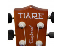 tanglewood-twtcp-na_604a3237bd064.jpg