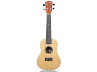tanglewood-twtcp-na_604a32b053ae6.jpg