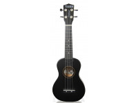 tanglewood-twtsp-bk_605db16112140.jpg