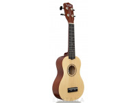 tanglewood-twtsp-na_605b7bfc34b05.jpg