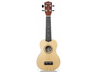 tanglewood-twtsp-na_605b7bfd114f2.jpg