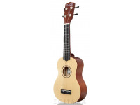 tanglewood-twtsp-na_605b7bfde3cff.jpg