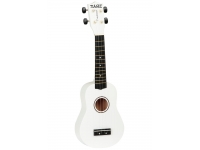 tanglewood-twtsp-wr_5eb95a6b008a8.jpg