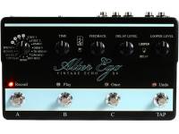 tc-electronic-alter-ego-x4_59c3a4fac3852.jpg