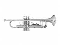 vincent-bach-tr501s_590a0f596767e.jpg