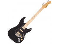 vintage-reissued-series-v6hm-bb-double-cutaway_612e100abb1da.jpg