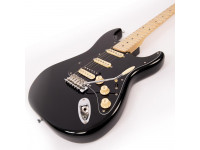 vintage-reissued-series-v6hm-bb-double-cutaway_612e100b4df03.jpg