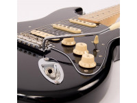 vintage-reissued-series-v6hm-bb-double-cutaway_612e100bc31db.jpg