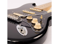 vintage-reissued-series-v6hm-bb-double-cutaway_62389841b866e.jpg