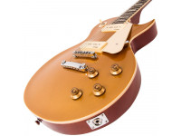 vintage-standard-series-v100gt-gold-top_607da0bf5743d.jpg