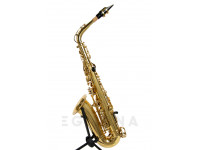 wisemann-das-350_601d7bd91b4ae.jpg