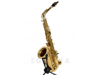 wisemann-das-350_601d7bda44e48.jpg