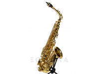 wisemann-das-350_601d7bdda8bd8.jpg