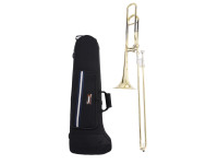 wisemann-dtb-280-gold_6679808a53816.jpg