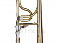 wisemann-dtb-365_6023d6064cd62.jpg