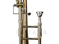 wisemann-dtb-365_6023d60a84ff7.jpg