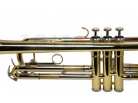 wisemann-dtr-200_601d7c76d95cb.jpg