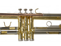 wisemann-dtr-200_601d7c790e1c3.jpg