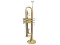 Trompete/Trompete Wisemann DTR-200 Trompete Afinação Bb