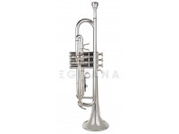 Trompete/Trompete Wisemann DTR-400 SP Trompete Afinação Bb